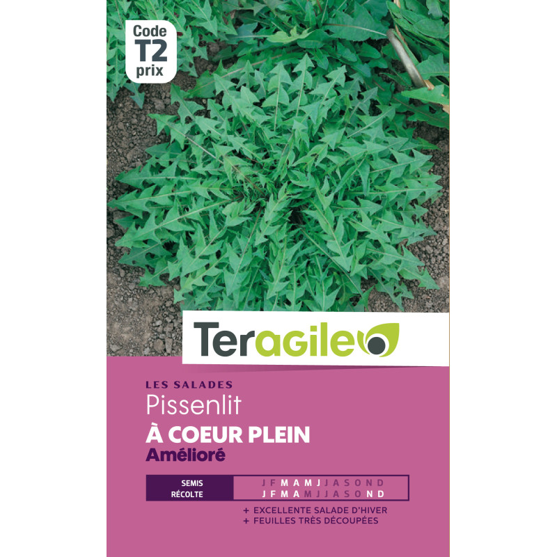 Pissenlit t2 teragile de Teragile - produits pour le jardin dans Graines de Pissenlit