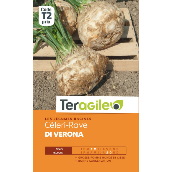 Celeri-rave di verona 1.30 g de Teragile - produits pour le jardin dans Graines de Celeri
