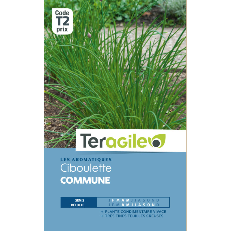 Ciboulette 1.50 g de Teragile - produits pour le jardin dans Graines de Ciboulette - Ciboule