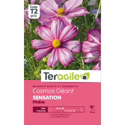 Cosmos geant sensation pinkie 1.50 g de Teragile - produits pour le jardin dans Graines de fleurs en C