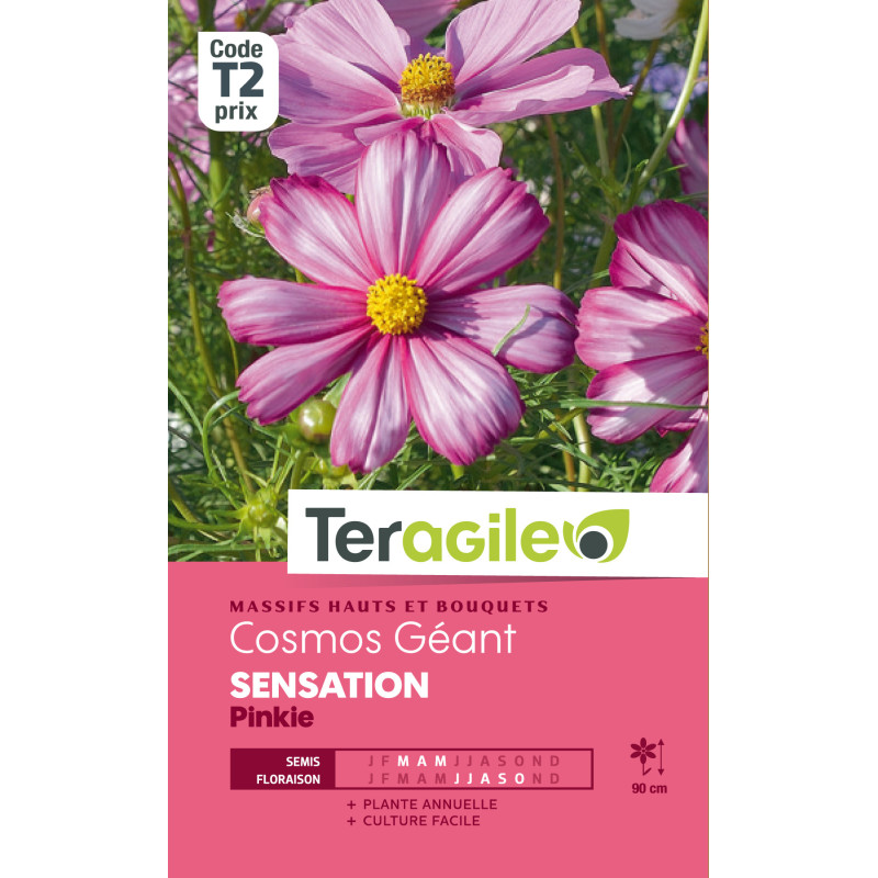 Cosmos geant sensation pinkie 1.50 g de Teragile - produits pour le jardin dans Graines de fleurs en C