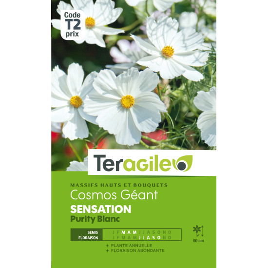 Cosmos geant sensation purity blanc 1.50 g de Teragile - produits pour le jardin dans Graines de fleurs en C