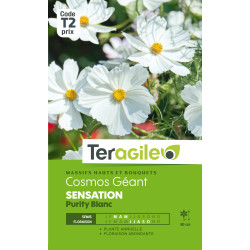 Cosmos geant sensation purity blanc 1.50 g de Teragile - produits pour le jardin dans Graines de fleurs en C