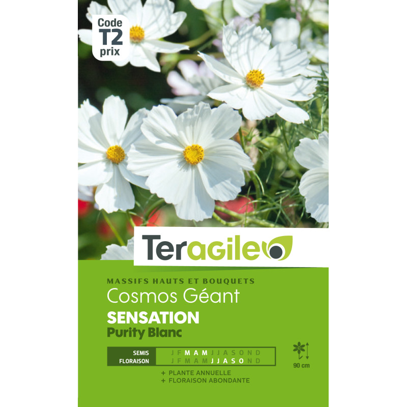 Cosmos geant sensation purity blanc 1.50 g de Teragile - produits pour le jardin dans Graines de fleurs en C