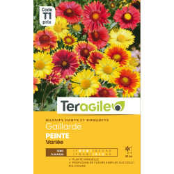 Gaillarde peinte variee 1.50 g de Teragile - produits pour le jardin dans Graines de fleurs en G
