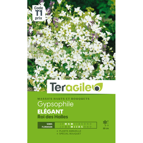 Gypsophile elegant roi des halles 1.50 g de Teragile - produits pour le jardin dans Graines de fleurs en G