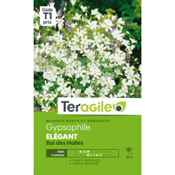 Gypsophile elegant roi des halles 1.50 g de Teragile - produits pour le jardin dans Graines de fleurs en G