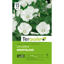 Lavatere mont blanc 1.50 g de Teragile - produits pour le jardin dans Graines de fleurs en L