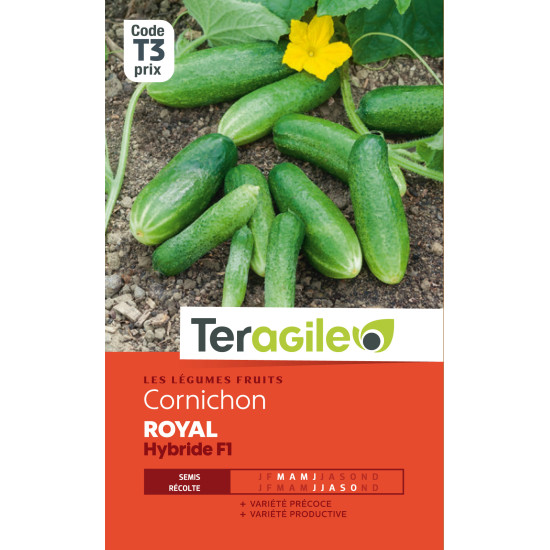 Cornichon royal hf1 1.5 g de Teragile - produits pour le jardin dans Graines de Cornichon