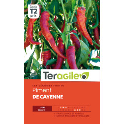 Piment de cayenne t2 teragile de Teragile - produits pour le jardin dans Graines de Piment