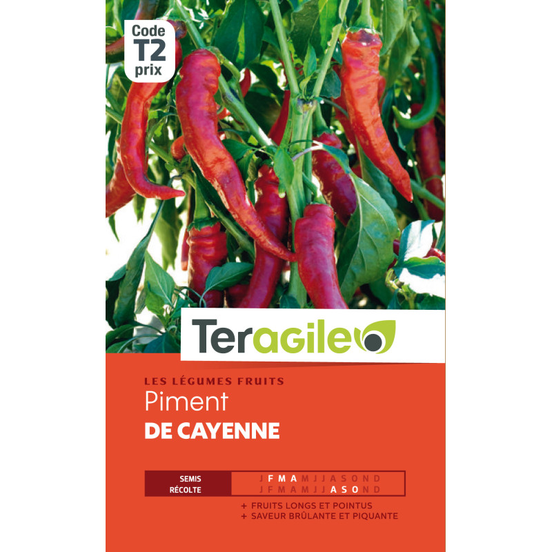 Piment de cayenne t2 teragile de Teragile - produits pour le jardin dans Graines de Piment