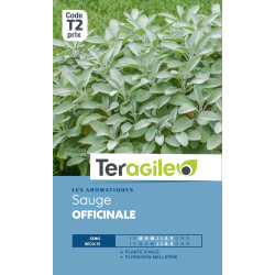 Sauge officinale t2 teragile de Teragile - produits pour le jardin dans Graines d'autres aromatiques