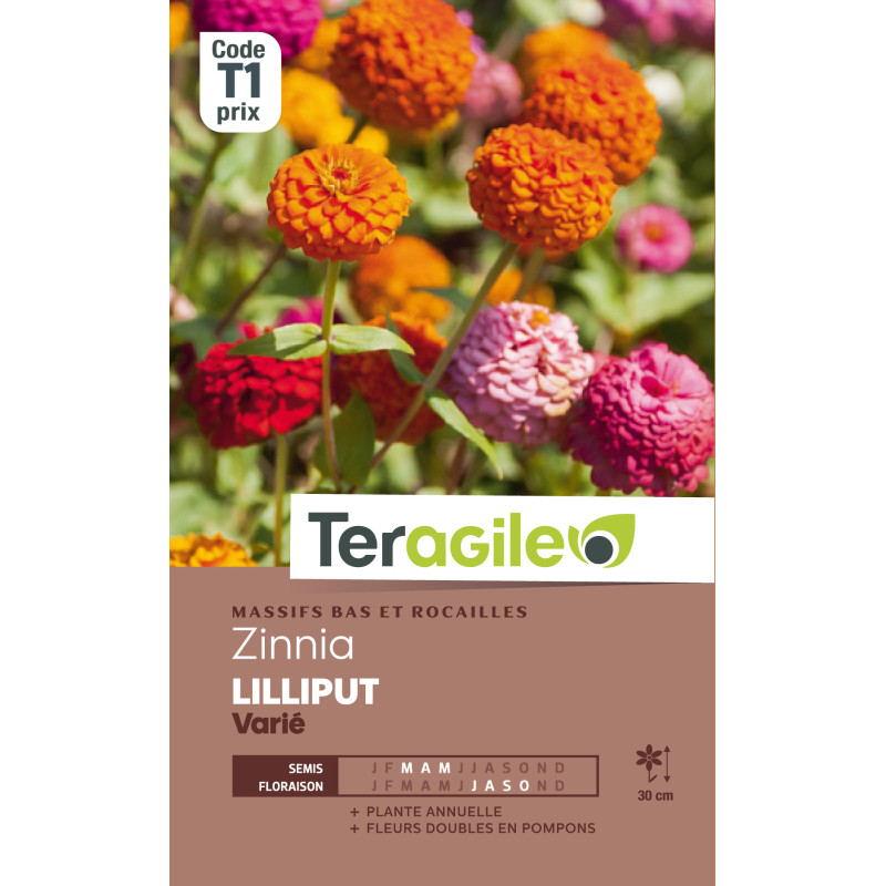 Zinnia lilliput varie 2.00 g de Teragile - produits pour le jardin dans Graines de fleurs en Z