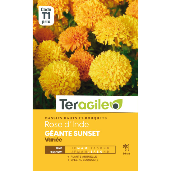 Rose d'inde geante sunset variee 2.00 g de Teragile - produits pour le jardin dans Graines de fleurs en R