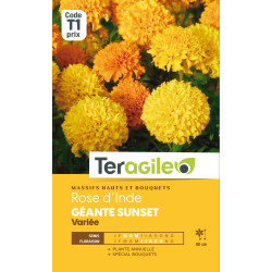 Rose d'inde geante sunset variee 2.00 g de Teragile - produits pour le jardin dans Graines de fleurs en R
