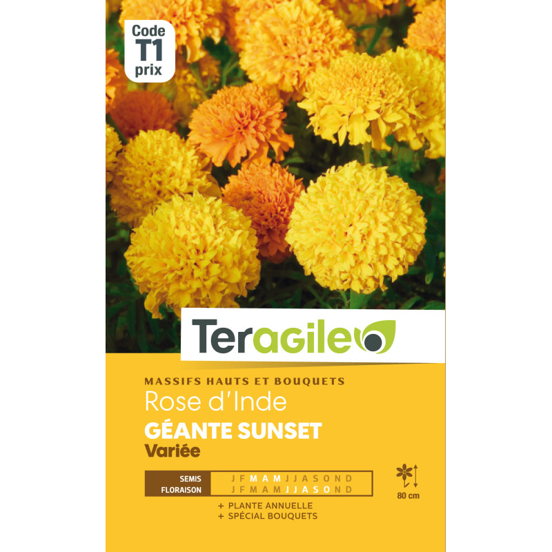 Rose d'inde geante sunset variee 2.00 g de Teragile - produits pour le jardin dans Graines de fleurs en R