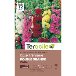 Rose tremiere double grande variee 2.00 g de Teragile - produits pour le jardin dans Graines de fleurs en R
