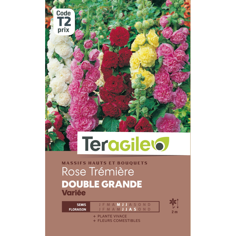 Rose tremiere double grande variee 2.00 g de Teragile - produits pour le jardin dans Graines de fleurs en R