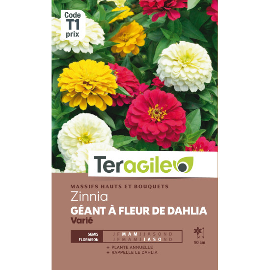 Zinnia geant a fleur de dahlia varie 2.00 g de Teragile - produits pour le jardin dans Graines de fleurs en Z
