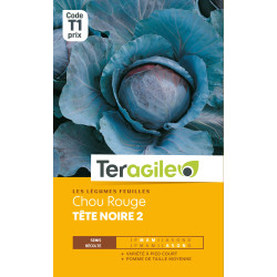 Chou rouge tete noire 2 t1 teragile de Teragile - produits pour le jardin dans Graines de Chou