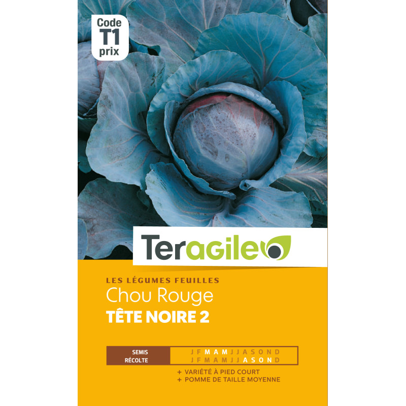 Chou rouge tete noire 2 t1 teragile de Teragile - produits pour le jardin dans Graines de Chou