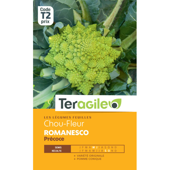 Chou-fleur romanesco precoce 2.00 g de Teragile - produits pour le jardin dans Graines de Chou