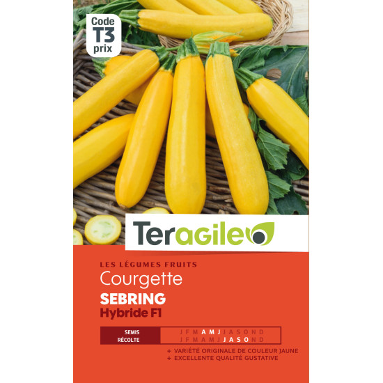 Courgette sebring hybride f1 2.00 g de Teragile - produits pour le jardin dans Graines de Courgette - Courge