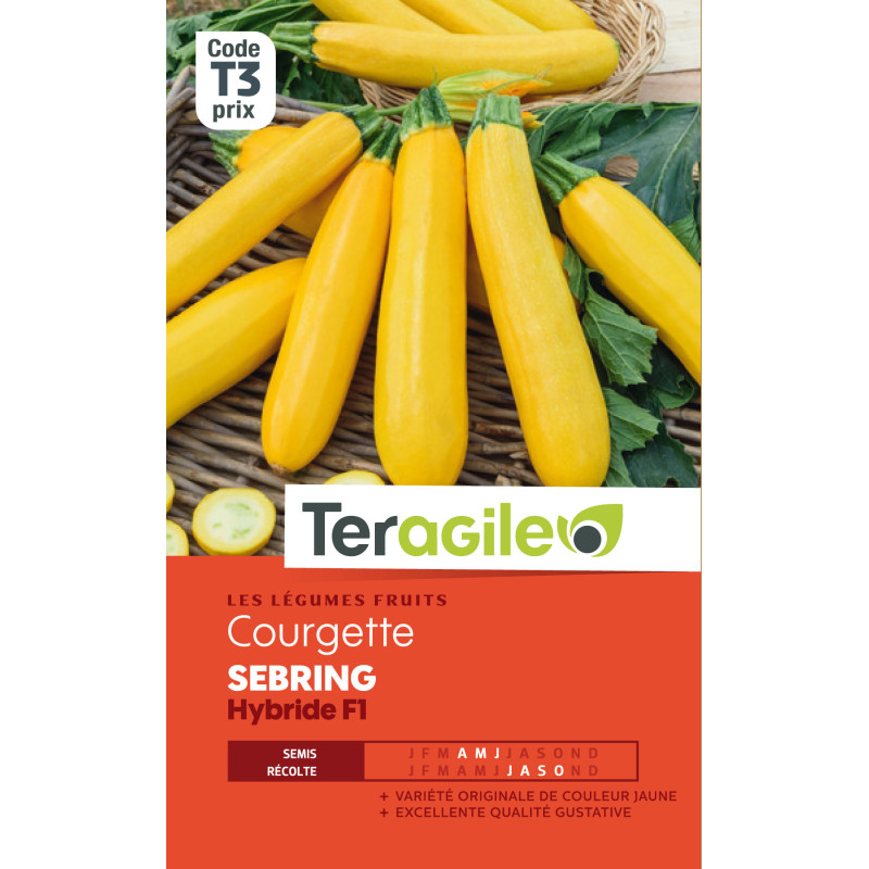 Courgette sebring hybride f1 2.00 g de Teragile - produits pour le jardin dans Graines de Courgette - Courge
