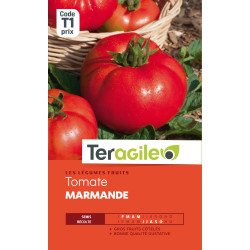 Tomate marmande vf t1 teragile de Teragile - produits pour le jardin dans Graines de Tomate