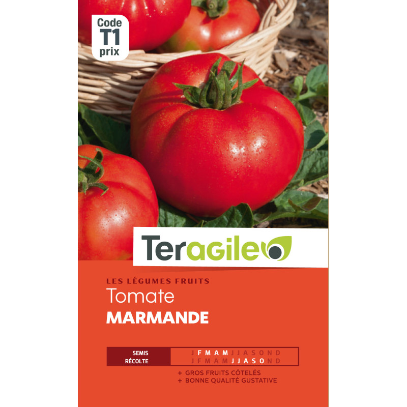 Tomate marmande vf t1 teragile de Teragile - produits pour le jardin dans Graines de Tomate