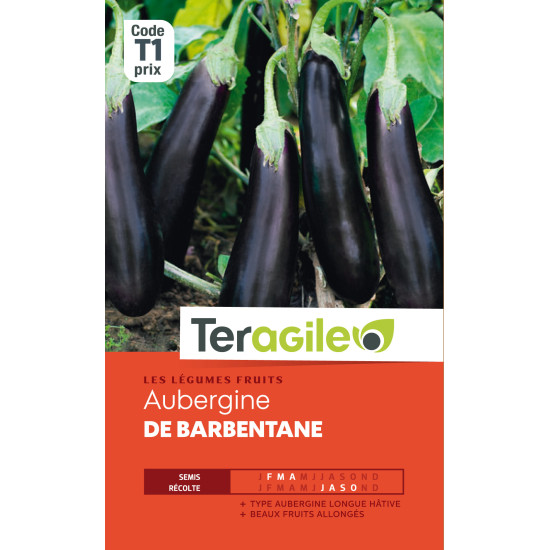 Aubergine de barbentane 2.50 g de Teragile - produits pour le jardin dans Graines de Aubergine