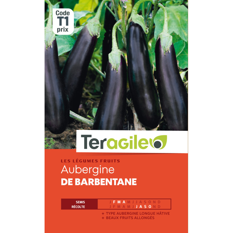 Aubergine de barbentane 2.50 g de Teragile - produits pour le jardin dans Graines de Aubergine