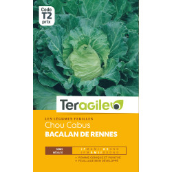 Chou pomme bacalan de rennes 3.00 g de Teragile - produits pour le jardin dans Graines de Chou
