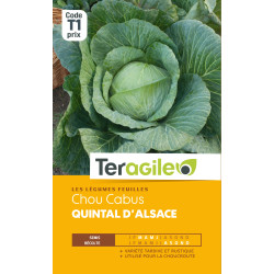Chou cabus quintal d'alsace t1 teragile de Teragile - produits pour le jardin dans Graines de Chou