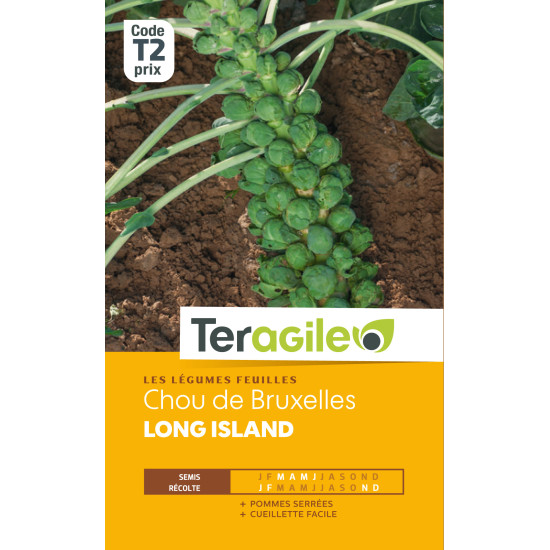 Chou de bruxelles long island 3.00 g de Teragile - produits pour le jardin dans Graines de Chou