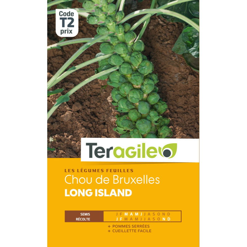 Chou de bruxelles long island 3.00 g de Teragile - produits pour le jardin dans Graines de Chou