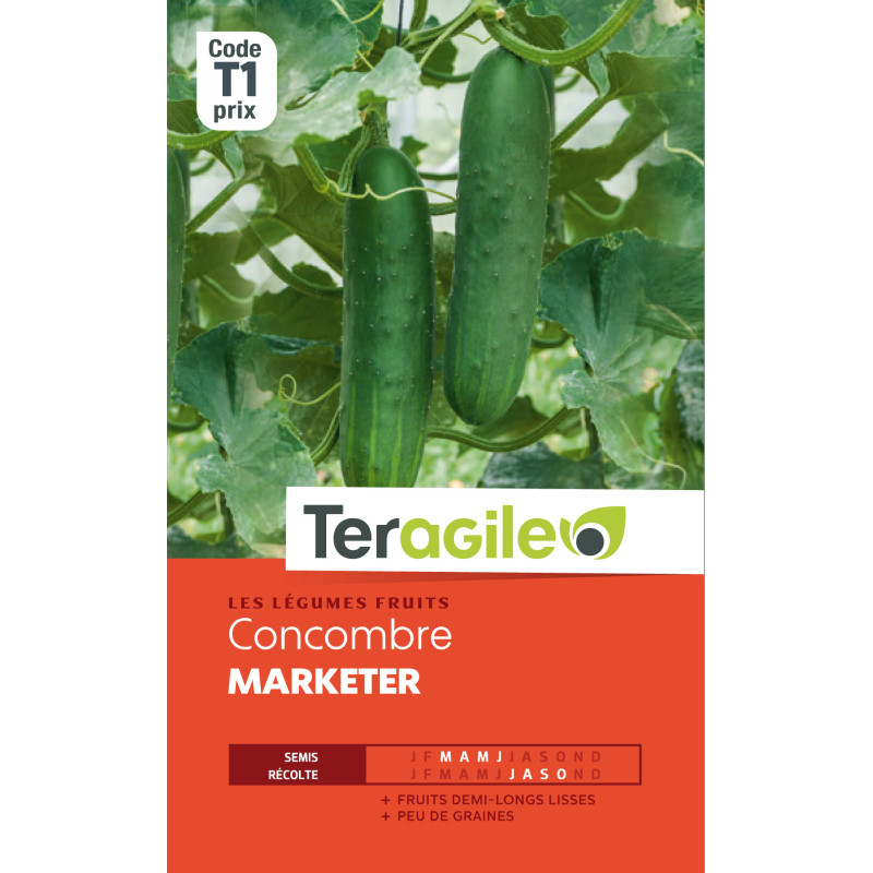 Concombre marketer t1 teragile de Teragile - produits pour le jardin dans Graines de Concombre