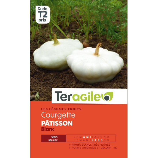 Courgette patisson blanc t2 teragile de Teragile - produits pour le jardin dans Graines de Courgette - Courge