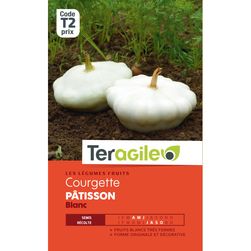 Courgette patisson blanc t2 teragile de Teragile - produits pour le jardin dans Graines de Courgette - Courge