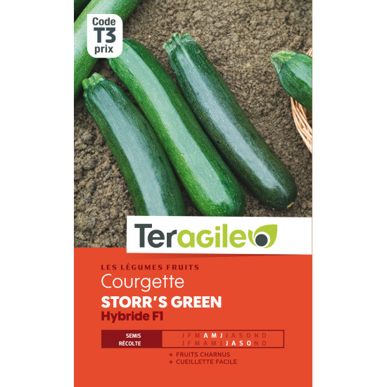 Courgette storr's green hybride f1 3.00 g de Teragile - produits pour le jardin dans Graines de Courgette - Courge