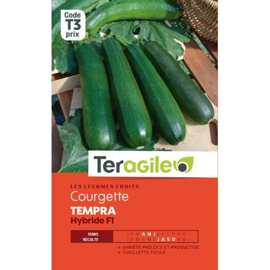 Courgette tempra hybride f1 3.00 g de Teragile - produits pour le jardin dans Graines de Courgette - Courge