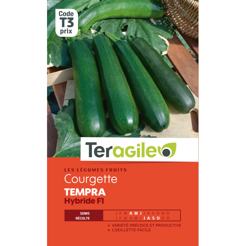 Courgette tempra hybride f1 3.00 g de Teragile - produits pour le jardin dans Graines de Courgette - Courge