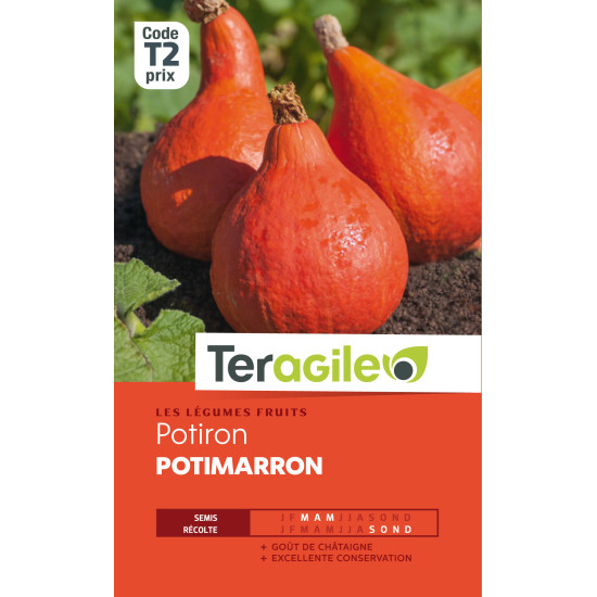 Potiron potimarron t2 teragile de Teragile - produits pour le jardin dans Graines de Coloquinte - Patisson - Potiron