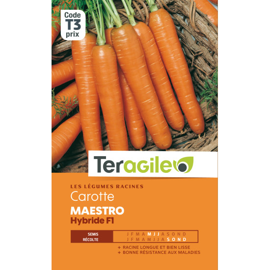 Carotte maestro hybride f1 3.00 g de Teragile - produits pour le jardin dans Graines de Carotte