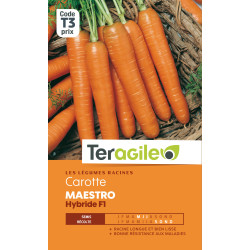 Carotte maestro hybride f1 3.00 g de Teragile - produits pour le jardin dans Graines de Carotte
