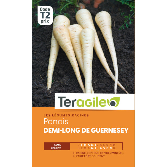 Panais 1/2 long de guernesey t2 teragile de Teragile - produits pour le jardin dans Graines d'autres légumes