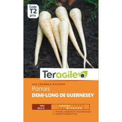 Panais 1/2 long de guernesey t2 teragile de Teragile - produits pour le jardin dans Graines d'autres légumes