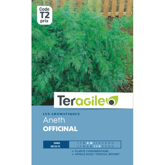 Aneth officinal 4.00 g de Teragile - produits pour le jardin dans Graines d'autres aromatiques