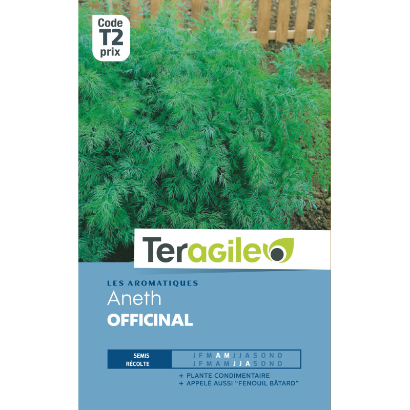 Aneth officinal 4.00 g de Teragile - produits pour le jardin dans Graines d'autres aromatiques