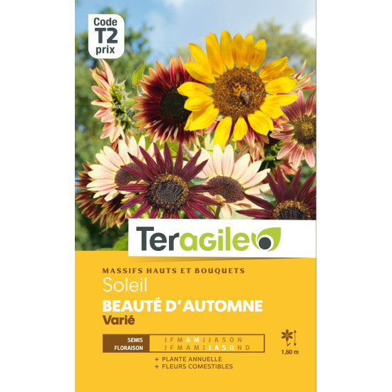 Soleil beaute d'automne varie 4.00 g de Teragile - produits pour le jardin dans Graines de fleurs en S